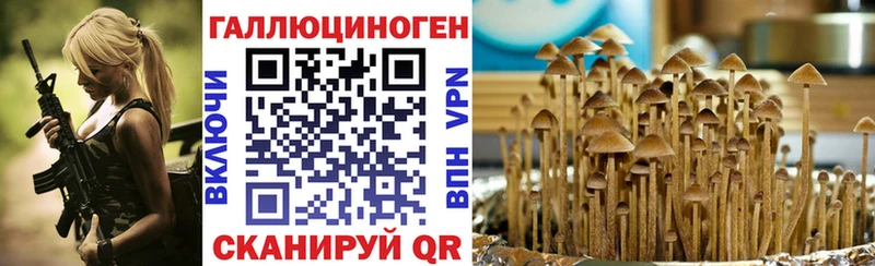 где продают Крым Галлюциногенные грибы прущие грибы